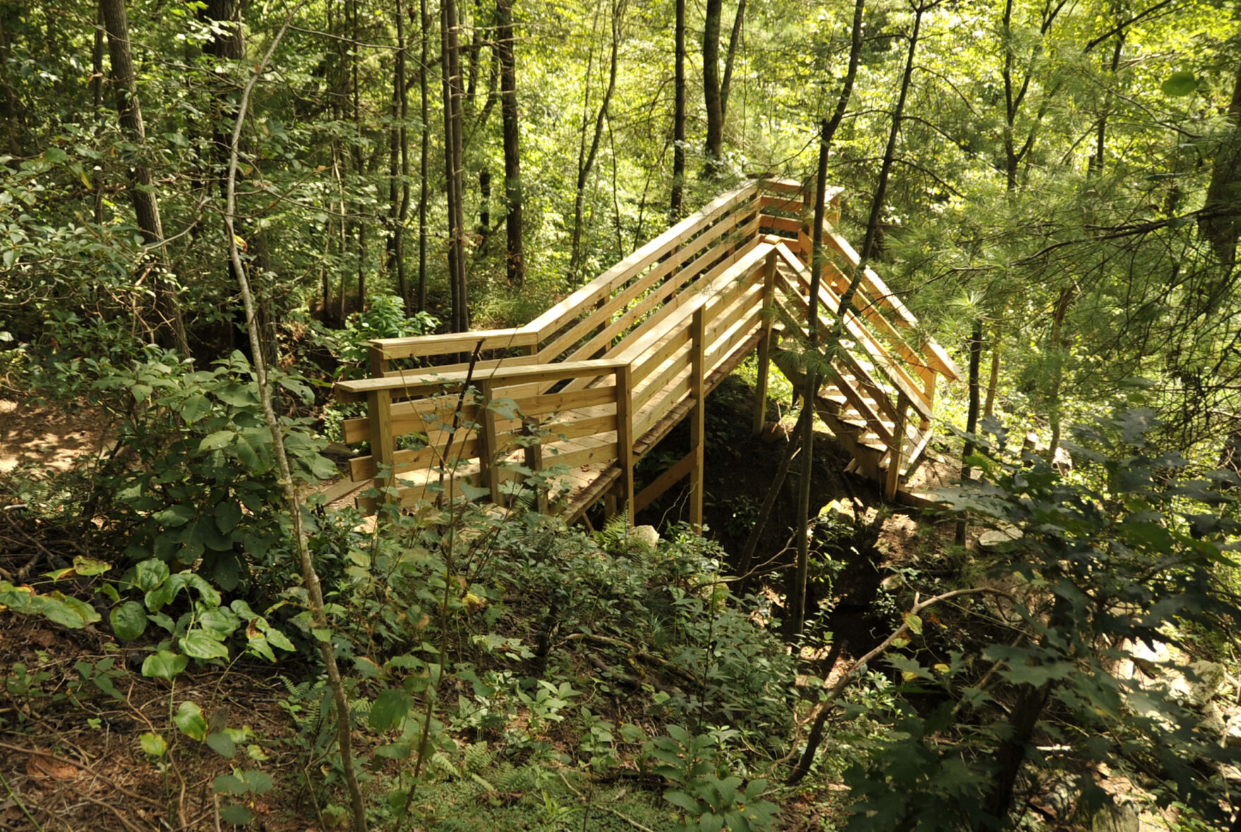 Vineyard Trail Carter Falls